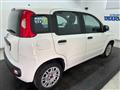 FIAT PANDA 1.2 Easy s&s 69cv my19