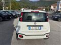 FIAT Panda Cross 1.0 firefly hybrid City Cross s&s 70cv