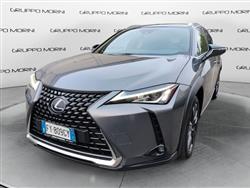 LEXUS UX Hybrid 4WD Executive