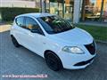 LANCIA YPSILON 1.2 69 CV 5 porte Elefantino