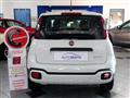 FIAT Panda 1.0 BZ 70 CV FIREFLY HYBRID CITY CROSS