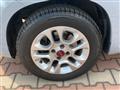 FIAT PANDA 1.2 LOUNGE AZIENDALE GUIDABILE NEOPATENTATO