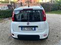 FIAT PANDA 1.0 FireFly S&S Hybrid City Life + Pack