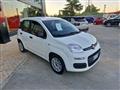 FIAT PANDA III 2016 1.2 Easy s&s 69cv my19