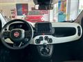 FIAT PANDA CROSS Panda Cross 1.0 FireFly S&S Hybrid