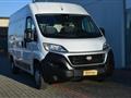 FIAT DUCATO 33 2.3 MJT 130CV PM-TM Furgone