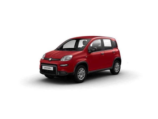 FIAT PANDA 3ª serie 1.0 FireFly S&S Hybrid