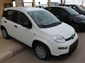 FIAT PANDA 1.0 FireFly S&S Hybrid Pandina-km0