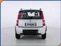 FIAT PANDA 1.2 4x4 Climbing