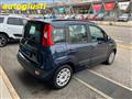 FIAT PANDA 1.2 Lounge 70CV   IDEALE PER NEOPATENTATI