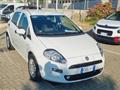 FIAT PUNTO 1.2 8V 5 porte Street