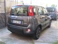 FIAT PANDA 1.0 FIREFLY S-S HYBRID CITY LIFE