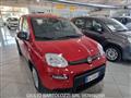 FIAT PANDA 1.0 FireFly S&S Hybrid Pandina