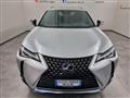 LEXUS UX Hybrid Business