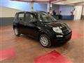 FIAT PANDA 1.0 Hybrid 70cv 36 Rate da 177,95