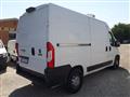 FIAT DUCATO MH2 FRIGO FNAX [FR49]