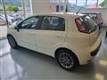 FIAT PUNTO 1.3 Mjt 75 CV 5 porte Dynamic