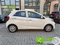 KIA PICANTO 1.0 5 porte Cool NEOPATENTATI GARANZIA INCLUSA!!