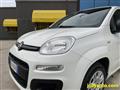 FIAT PANDA 1.2 Easy S&S - EURO 6 - OK NEOPATENTATI