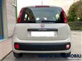 FIAT PANDA 1.2 69CV LOUNGE UNIPROPRIETARIO ADATTA NEOPATENT.