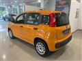 FIAT Panda 1.2 Easy s&s 69cv my19