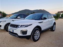 LAND ROVER Range Rover Evoque 2.0 TD4 5p. SE