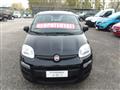 FIAT PANDA 1.2 69cv NEOPATENTATI