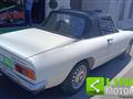 ALFA ROMEO SPIDER 1.6 Junior TARGA ORO