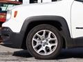 JEEP RENEGADE 1.6 Mjt DDCT 120 CV Business