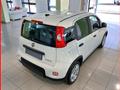 FIAT Panda 1.0 FireFly S&S Hybrid MY24 KM ZERO!!! IVATA NEOPATENTATI