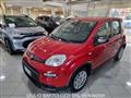 FIAT PANDA 1.0 FireFly S&S Hybrid Pandina