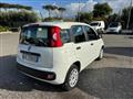 FIAT PANDA 1.2 69cv S&S E6d-Temp Easy