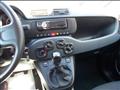 FIAT PANDA 1.0 firefly hybrid 70cv