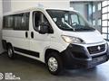 FIAT DUCATO 30 2.3 MJT 130CV PC-TN Panorama