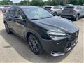 LEXUS NX Plug-in 4WD Luxury