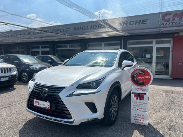 LEXUS NX Hybrid Business 197CV 4wd