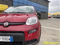 FIAT PANDA 1.0 FireFly S&S Hybrid Pandina **KM0** NEOPATENTAT