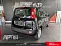 FIAT PANDA 1.2 Lounge 69cv