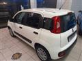 FIAT PANDA VAN 1.2 Van 4 POSTI KM 22283 !!!