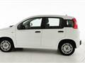 FIAT PANDA 1.2 EasyPower Easy - OK NEOPATENTATO