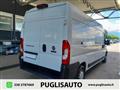 FIAT DUCATO 33 2.0 MJT PLM-TM Furgone