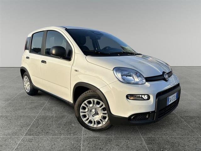 FIAT PANDA 1.0 FireFly S&S Hybrid Pandina