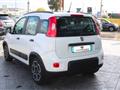 FIAT Panda 1.0 firefly hybrid City Life s&s 70cv