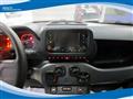 FIAT PANDA CROSS Hybrid 1.0 FireFly 70cv EU6