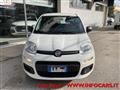 FIAT PANDA 1.2 Easy NEOPATENTATI