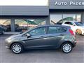 FORD FIESTA 1.5 TDCi 75CV 5 porte Business NEOPATENTATI