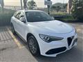 ALFA ROMEO Stelvio 2.2 T.diesel 180 CV AT8 Q4 Exec.