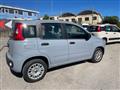 FIAT PANDA 1.2 Trussardi