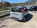 FIAT PANDA NEW My22 1.0 70cv Hybrid City Life