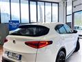 ALFA ROMEO STELVIO 2.2 Turbodiesel 210 CV AT8 Q4 Executive